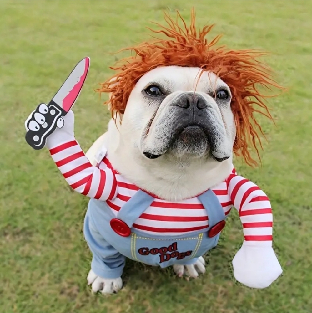 Funny Halloween custom for dogs🐕
